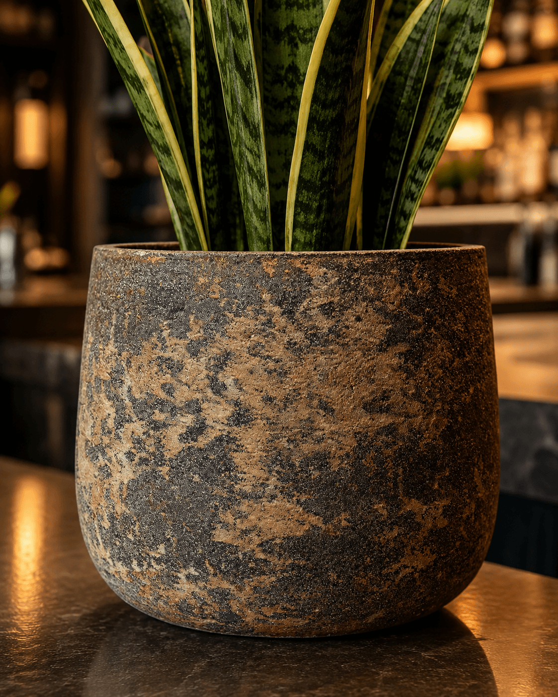 Kensington planter collection