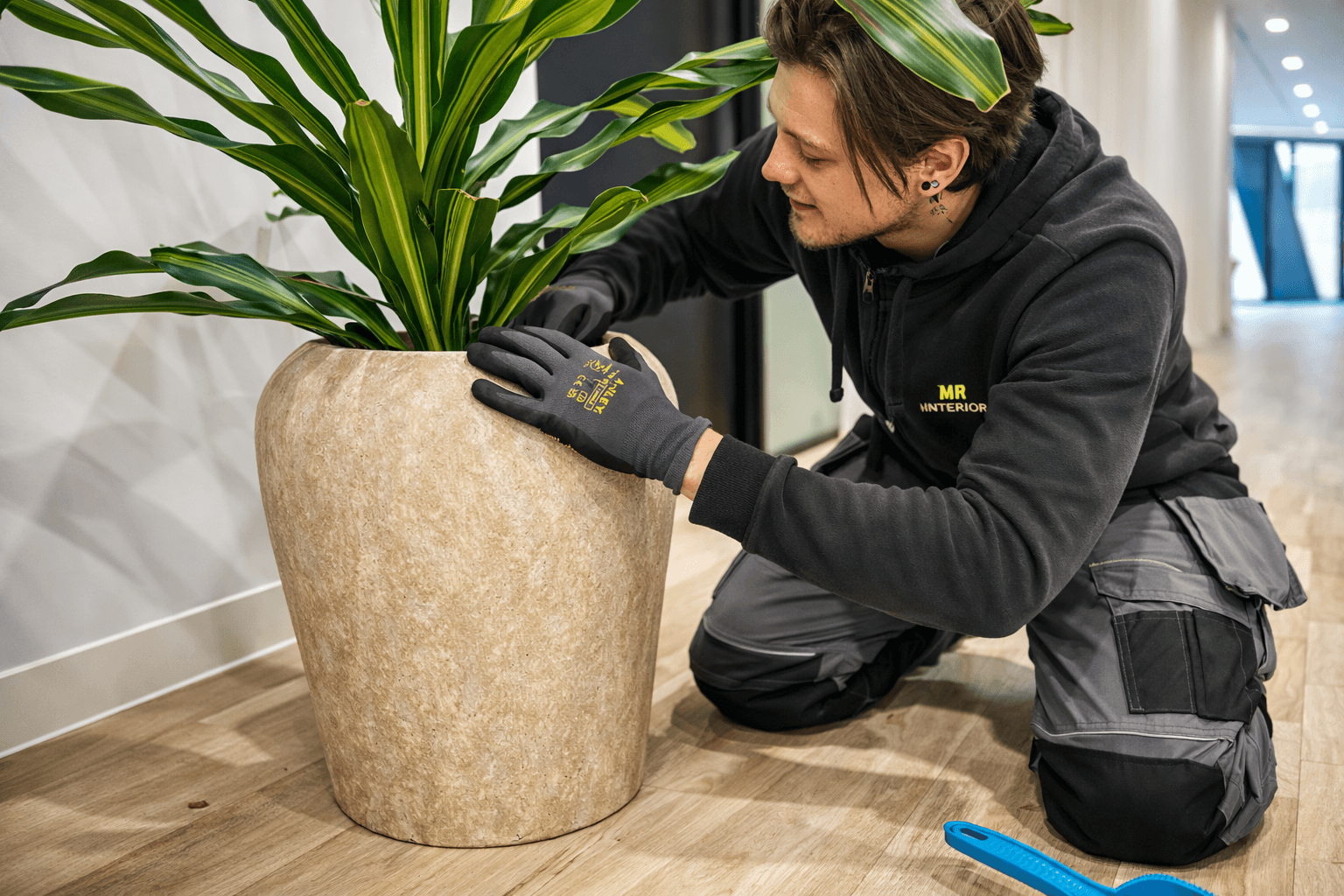 Plant Care & Maintenance by Plant Pro