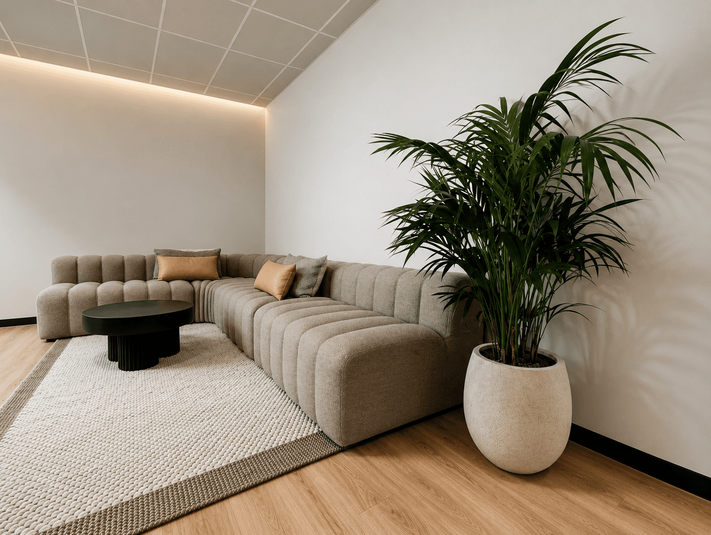 Premium Plant Pro commercial plant installation